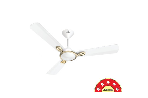 Havells Standard Magnia BLDC
1200 mm Sweep (Pearl White)